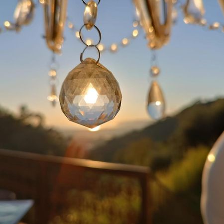 Tenuta Zamparina Montignoso Exteriér fotografie