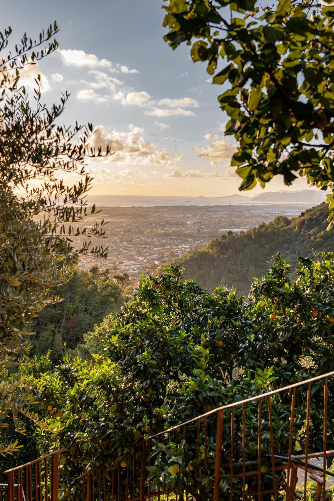 Tenuta Zamparina Montignoso Exteriér fotografie