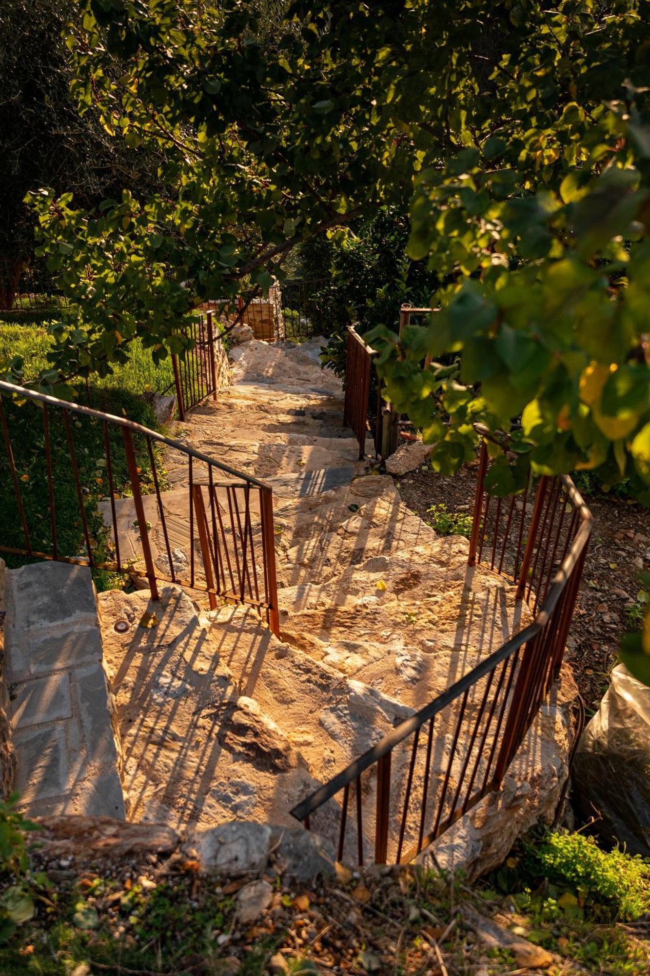 Tenuta Zamparina Montignoso Exteriér fotografie