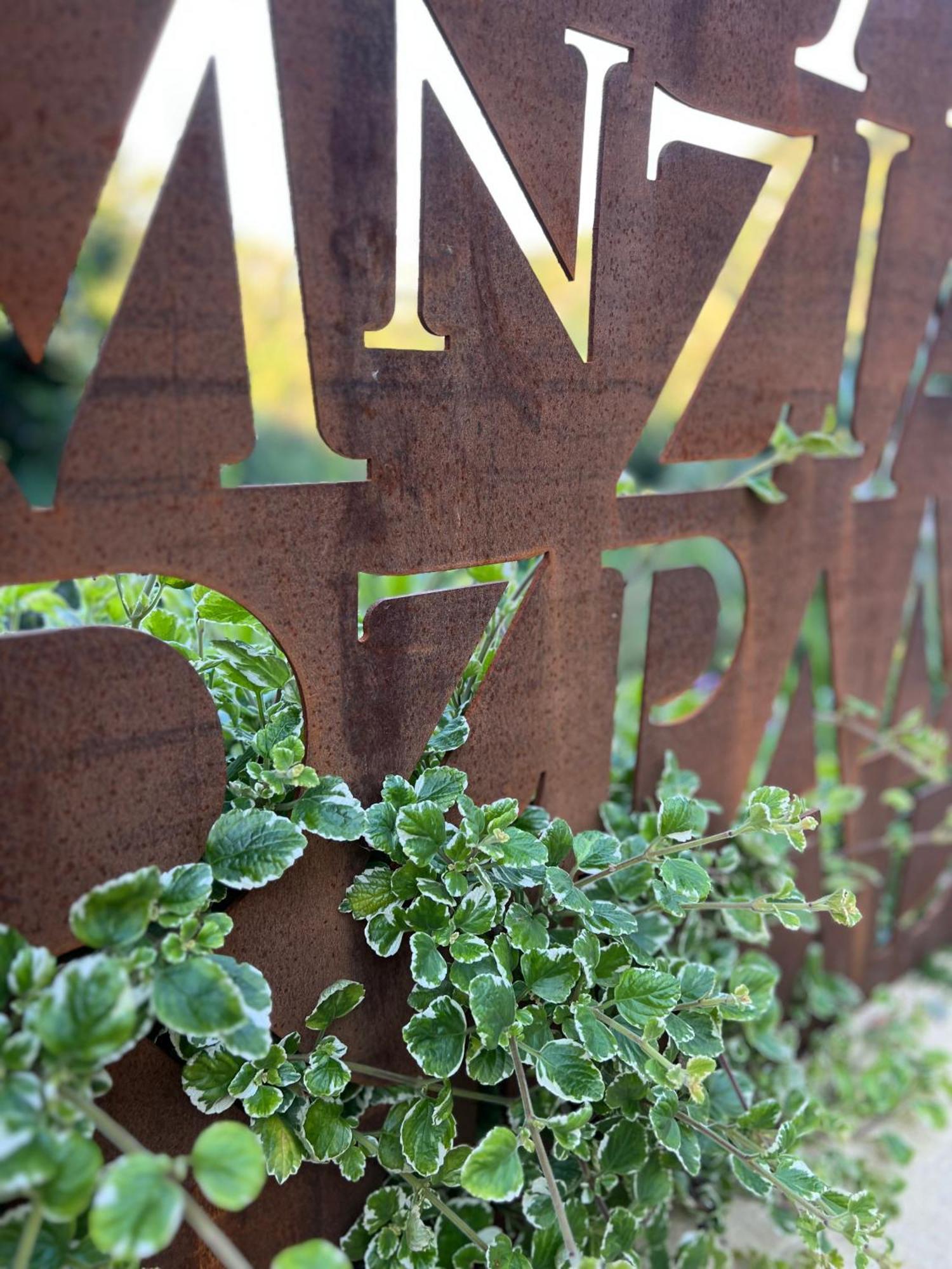Tenuta Zamparina Montignoso Exteriér fotografie